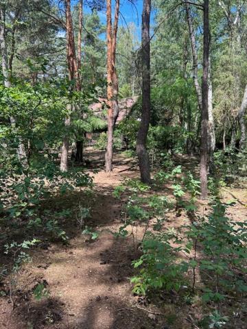Lesna Holiday home Arciechow