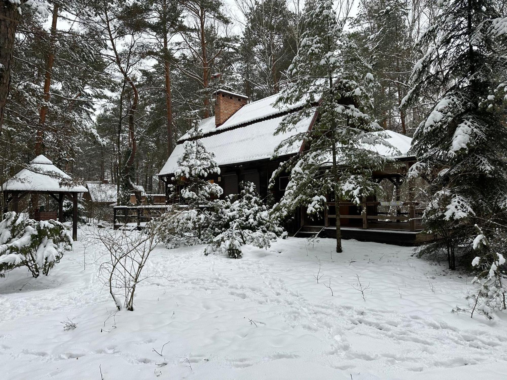 Lesna Holiday home *